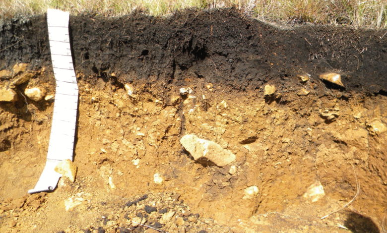 perfilamento geográfico