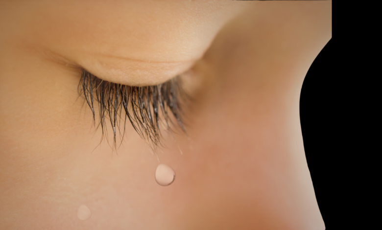 Alienação Parental